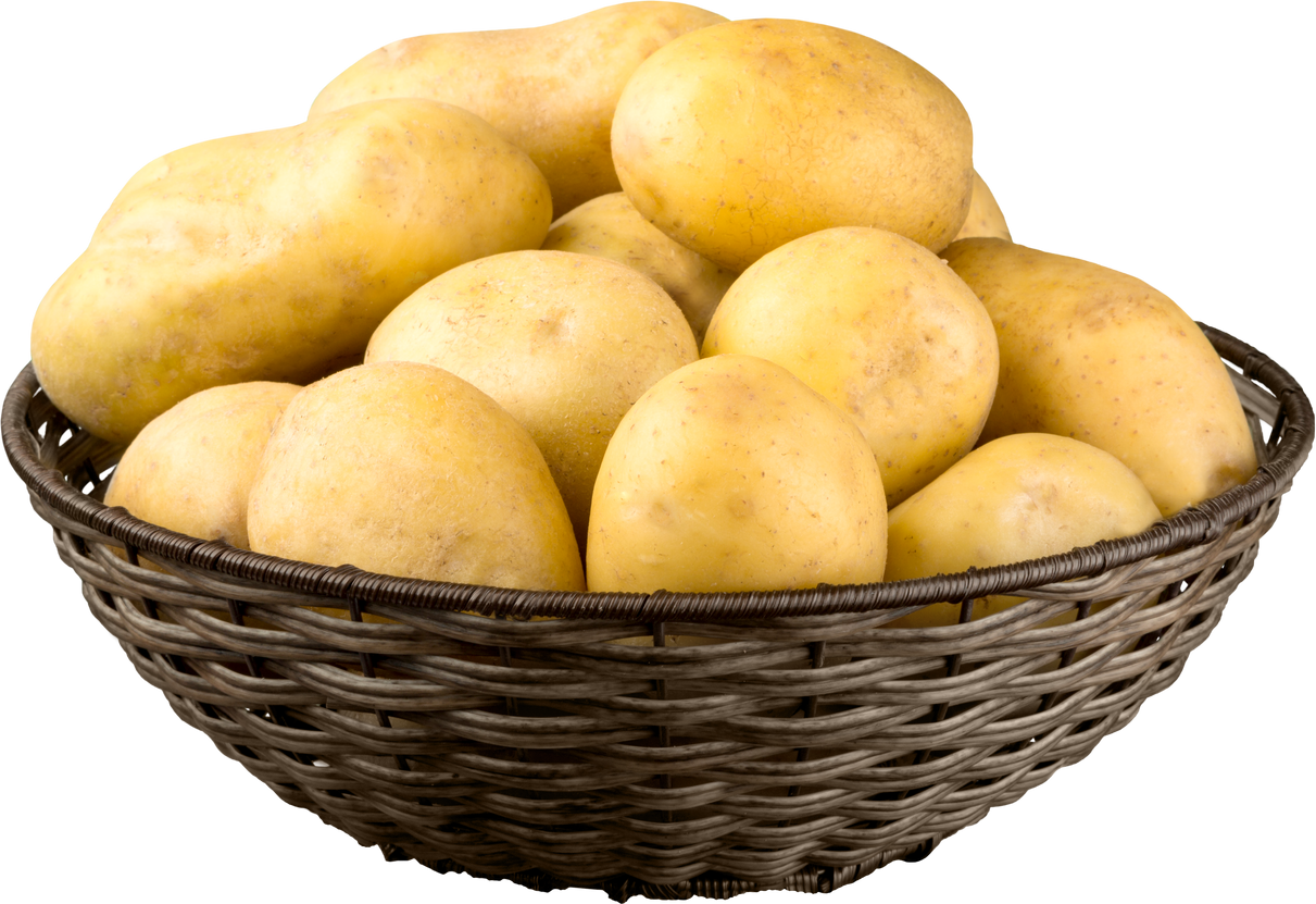 Basket of Yukon Gold Potatoes